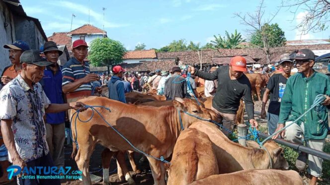 
					Tersebar di 22 Kecamatan, Hanya 2 Kecamatan Zero PMK