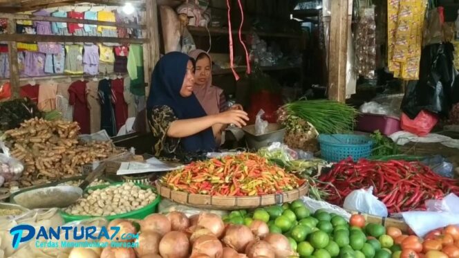 
					Harga Cabai di Kota Pasuruan Kian Pedas, Capai Rp100 Ribu/Kg