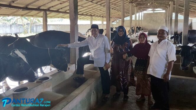
					Efek PMK, Produksi Susu di Pasuruan Anjlok, Koperasi Kelimpungan