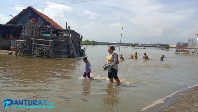 
					Kalibuntu Langganan Banjir Rob, Kinerja Pemkab-DPRD Probolinggo Dipertanyakan