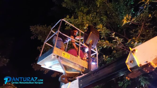 
					Diduga Kesetrum, Pencari Pakan Ternak Tewas di Atas Pohon