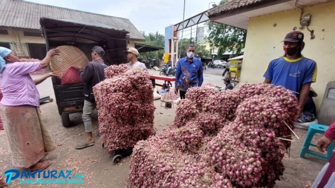 
					Sempat Turun Pasca Penetapan Plasi, Bawang Kembali Naik