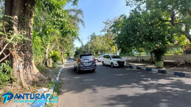 
					Angin Gending Mulai Berembus, BPBD: Waspada Pohon Tumbang