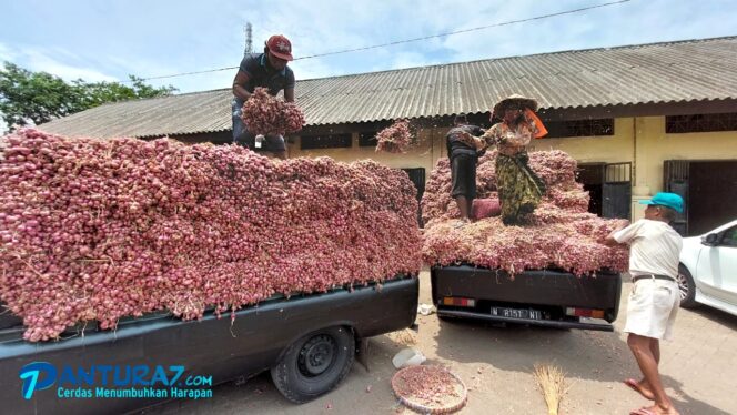 
					Tembus Rp56 Ribu/Kilogram, Bawang Merah Diprediksi Akan Turun