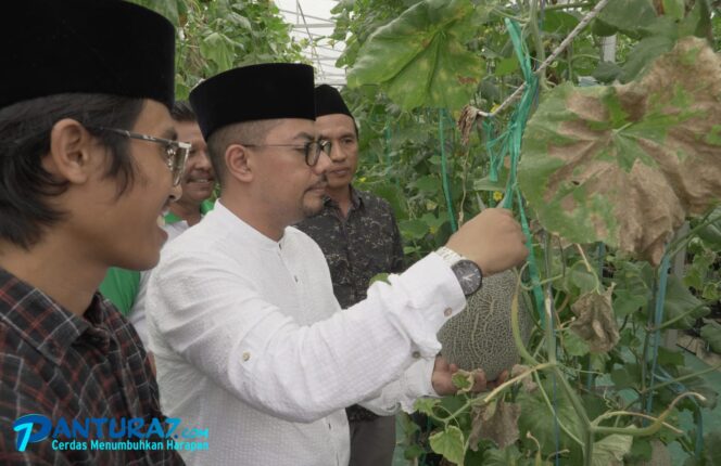 
					PANEN: Ketua DPC HKTI Kab. Probolinggo, Gus dr Haris, mengawali panen melon kedua di Green House Desa Sogaan, Kec. Pakuniran. (foto: Ainul Jannah)