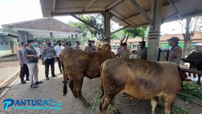 
					Warga Sembelih Kurban Diminta Lapor ke DPKPP