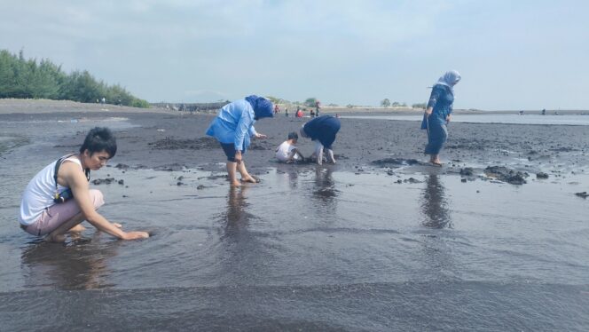 
					Mencari Kerang Saat Liburan, Wisatawan Pun Riang