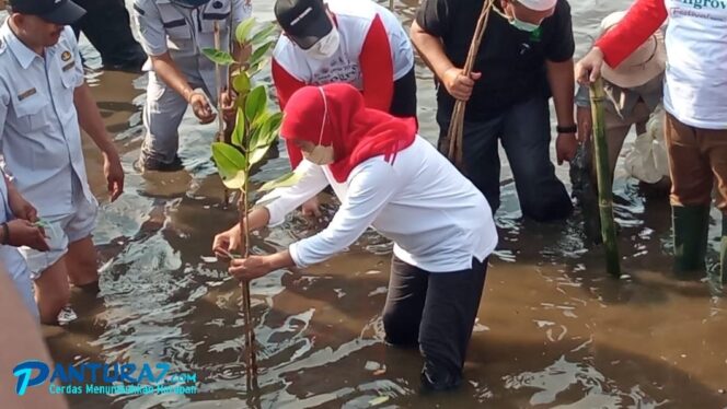 
					Hadapi Perubahan Iklim, Gubernur Khofifah Ajak Warga Sedekah Oksigen lewat Mangrove