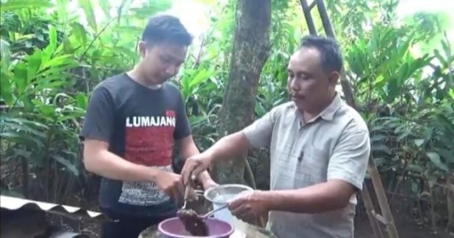 
					Berkat Madu Klanceng, Pemuda Lereng Semeru Tembus Perguruan Tinggi 