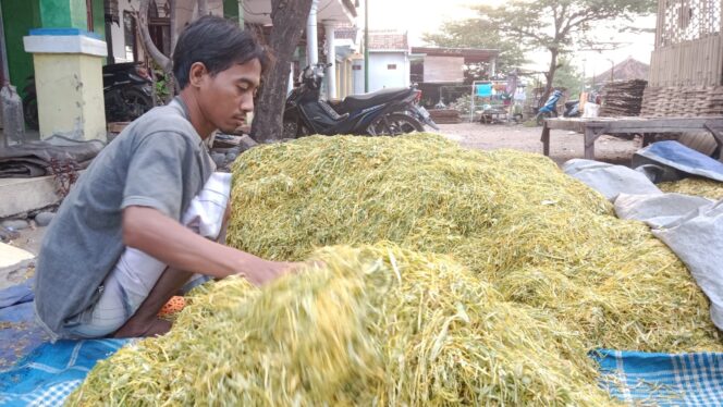 
					Kabag Perekonomian Sebut Tahun Ini Area Tanam Untungkan Petani