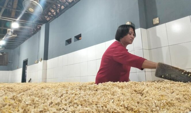 
					Harga Kedelai Meroket, Tempe Dijual ‘Kurus’
