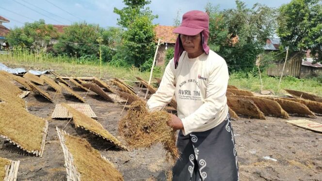 
					Akibat Hujan, Tengkulak Ajukan Penawaran Ulang Harga Tembakau