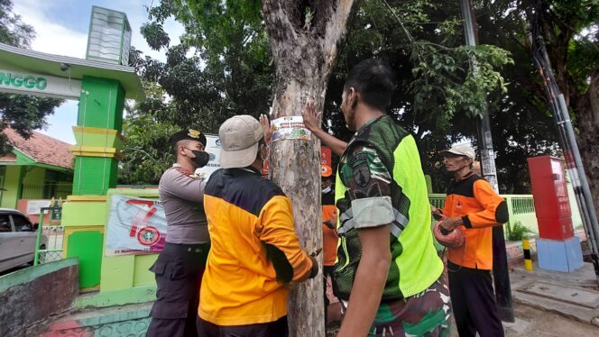 
					Antisipasi Tumbang, BPBD Pasang Stiker dan Spanduk di Pohon di Pusat Keramaian