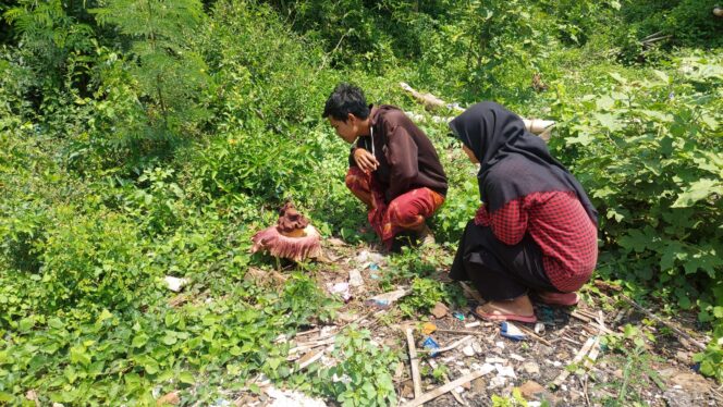 
					Bunga Bangkai Muncul di Pekarangan Warga Desa Kerpangan Leces