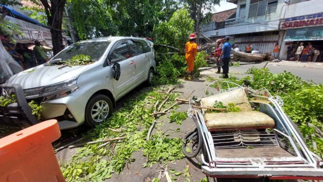 
					Pohon di Depan Pasar Baru Tumbang, Seorang Penumpang Becak Tewas