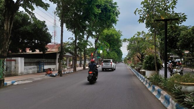 
					Biar Cantik, Pepohonan di Jalan Protokol Dipotong Poni