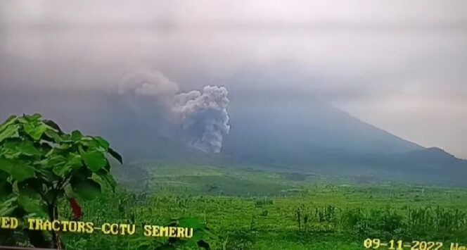 
					Waspada! Gunung Semeru Luncurkan Awan Panas Guguran