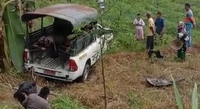 
					Mobil Patroli Pol PP Lumajang Terjun ke Sawah, 6 Orang Terluka