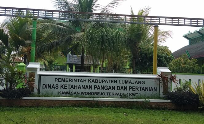 
					Kasihan! Curhat Petani Lumajang Soal Kelangkaan Pupuk Subsidi Bertepuk Sebelah Tangan