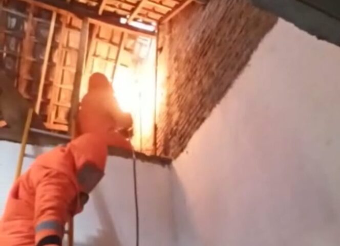 
					Bersarang di Atap Rumah Warga Jrebeng Kidul, Damkar Evakuasi Sarang Tawon
