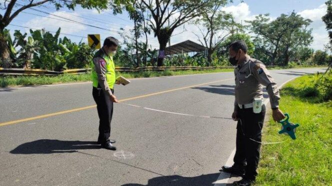 
					Jadi Korban Tabrak Lari, Pelajar SMA di Lumajang Tewas, begini Kronologi Kejadiannya 