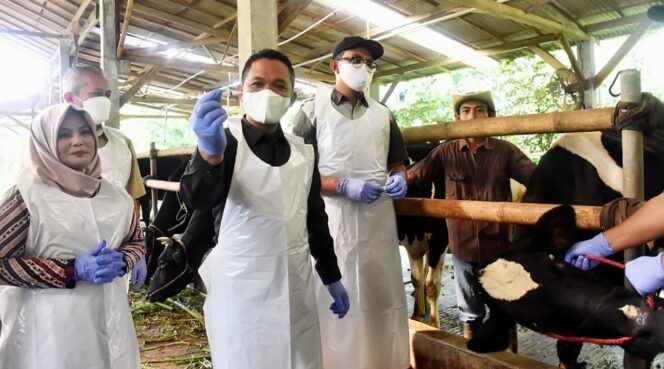 
					VAKSINASI: Bupati Lumajang, Thoriqul Haq, saat meninjau proses vaksinasi ternak, beberapa waktu lalu. (foto: Asmadi).