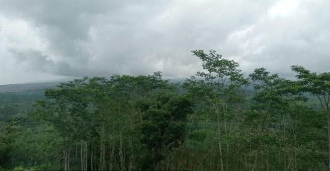 
					BERBAHAYA: Kondisi Gunung Semeru di Kabupaten Lumajang masih sangat fluktuatif. (foto; Asmadi)