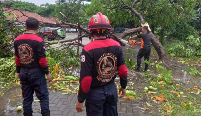 
					TUMBANG: Petugas BPBD Kota Pasuruan memotong pohon yang tumbang akibat disapu angin. (foto: Moh. Rois)