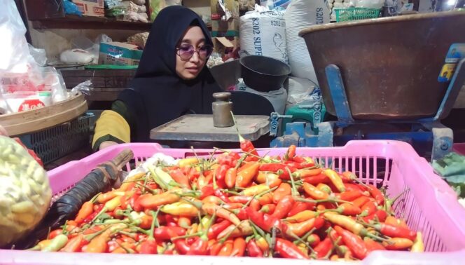 
					PEDAS: Seorang pedagang cabai rawit di Pasar Randuagung Lumajang sedang menunggu pembeli. (*)