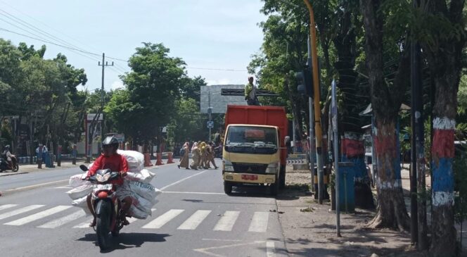 
					DIRABAS: Petugas DLH Kabupaten Probolinggo saat merabas pohon di pinggir jalan. (foto: Ali Ya'lu).