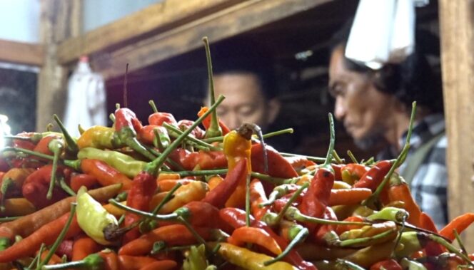 
					NAIK: Cabai rawit menjadi salah satu komoditas yang naik harga di awal ramadhan 1444 H. (foto: Moh. Rois)