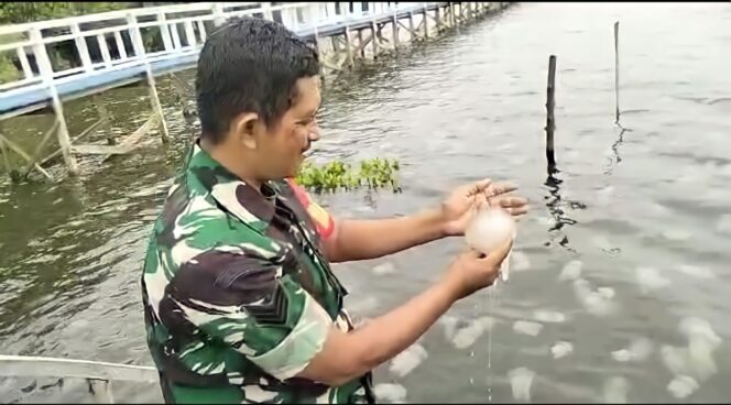 
					CEK: Seorang anggota TNI mengecek salah satu ubur-ubur yang muncul di perairan laut utara Pasuruan. (foto: Moh. Rois)