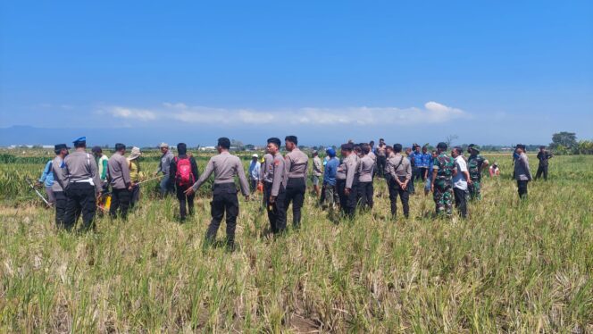 
					Suasana eksekusi oleh Pengadilan Negeri Probolinggo dijaga oleh puluhan polisi. 