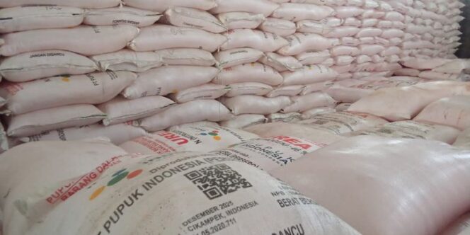 
					Pupuk urea.