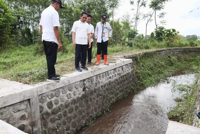 
					Diskominfo Lumajang.