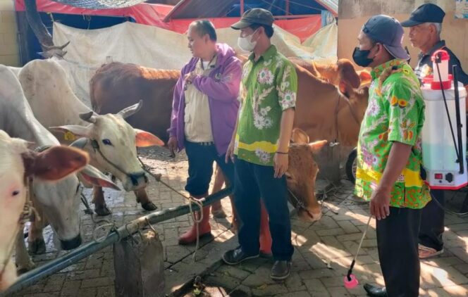 
					RESAH: Vaksinasi diharapkan peternak sapi di Pasuruan seiring menyebarnya penyakit LSD. (foto: Moh. Rois).
