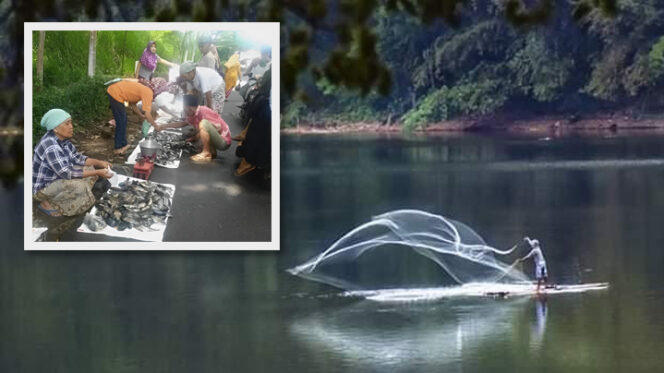 
					Ada Fenomena Koyo di Ranu Klakah Lumajang, Apa Itu?