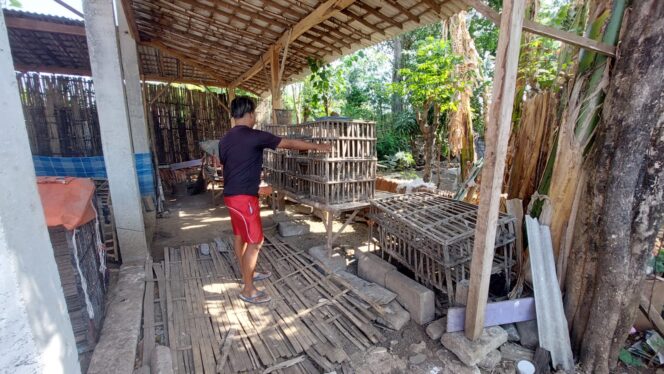 
					Seorang warga menunjukkan lokasi kandang ayam yang mati mendadak.