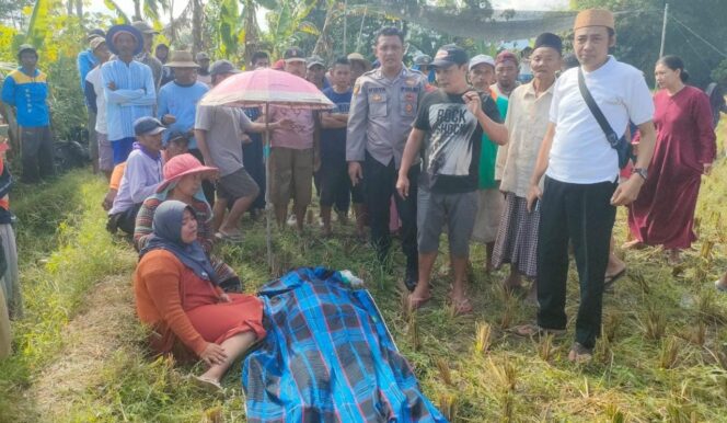 
					Pria Lansia Meninggal saat Cari Rumput