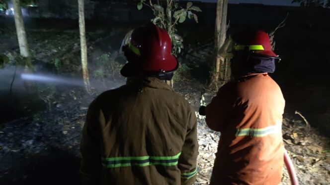 
					Semalam, Terjadi Dua Kebakaran Lahan Ilalang di Lahan Pohon Jati