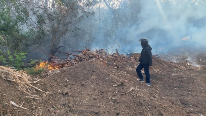 
					Seorang warga berada didekat semak Bukit Bentar yang terbakar.
