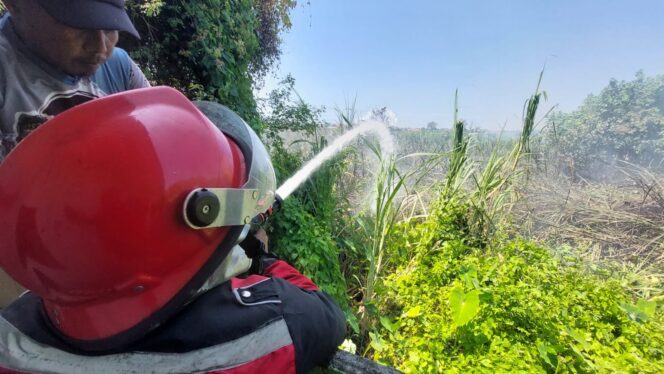 
					Petugas damkar melakukan pemadaman lahan yang terbakar