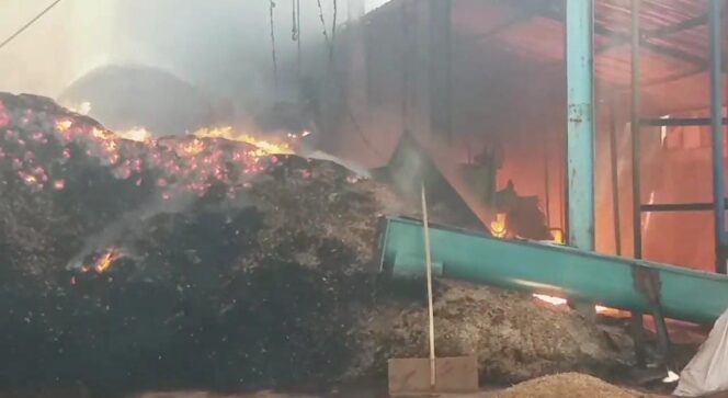 
					TERBAKAR: Serbuk kayu ludes akibat kebakaran yang terjadi di pabrik pengolahan kayu di Gempol, Pasuruan. (foto: Moh. Rois)