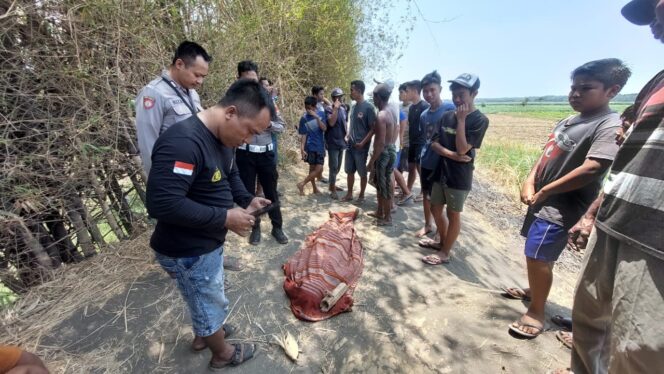 
					Petugas berada di dekat mayat yang ditemukan di jalan setapak di Desa Pesisir, Minggu kemarin.