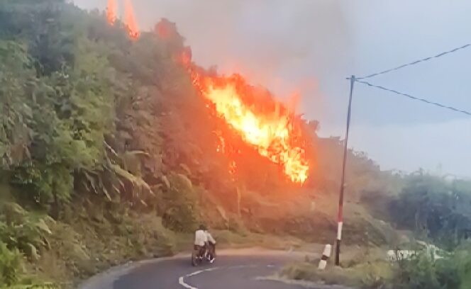 
					BERKOBAR: Karhutla di dekat pemukiman Argosari, Desa Tengger, Senduro, Kamis (26/10/23). (foto: Asmadi).