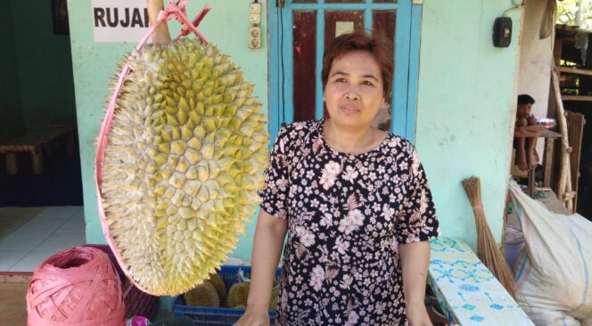 
					DIBURU: Durian Bajol khas Senduro Lumajang sedang dipajang warga untuk dijual. (foto: Asmadi)
