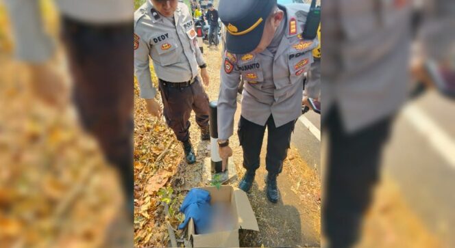
					HEBOH: Kapolsek Purwodadi, AKP Pujianto, ditemani anggotanya mengecek kardus berisi jasad bayi. (foto: Moh. Rois)