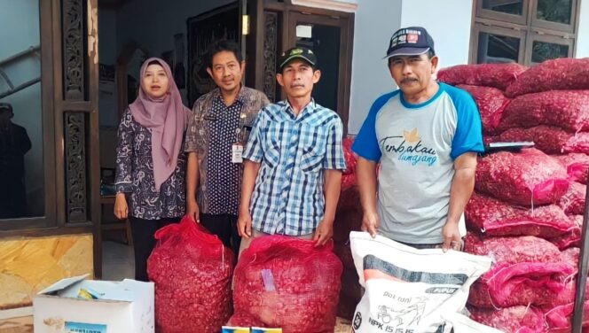 
					BANTUAN: Petani di Desa Sukosari, Kecamatan Kunir, Kabupaten Lumajang, saat menerima bantuan bibit bawang merah. (foto: Asmadi)