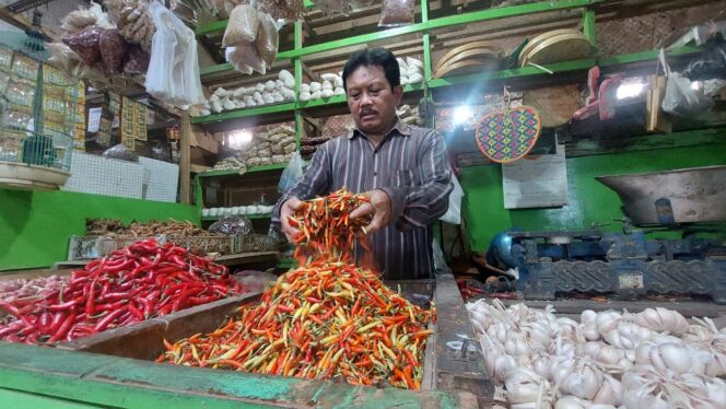 
					TURUN OMSET: Su'eb, pedagang cabai rawit di Pasar Baru Kota Probolinggo sedang menunjukkan dagangannya. (foto: Hafiz Rozani)