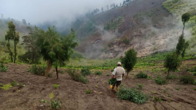 
					EKSTRIM: Akses yang dipakai untuk memindahkan badan pesawat jatuh di lereng Bromo diperbaiki. (foto: Moh. Rois)